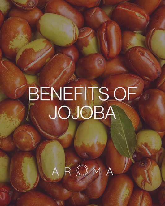 Jojoba Oil: 13 Skin Benefits for Your Face